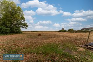 Field- click for photo gallery